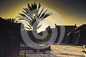 Sunset view with Bedouin tents and dates trees in the Negev desert Israel