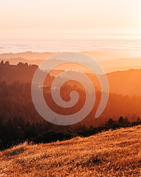 Sunset view from Borel Hill, in the Santa Cruz Mountains, Los Gatos, California