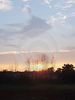 Sunset view from a dead trees at the field