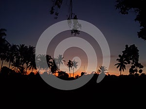 Sunset view in the evening, coconat tree