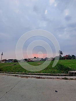 sunset view with grassfields