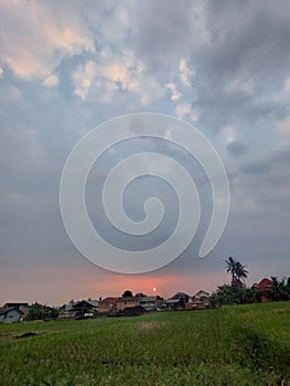 sunset view with grassfields