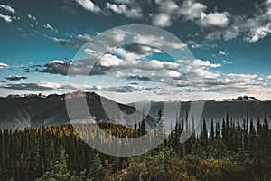 Sunset View from Mount Revelstoke across forest with blue sky and clouds. British Columbia Canada.