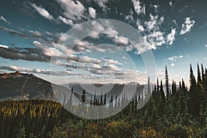 Sunset View from Mount Revelstoke across forest with blue sky and clouds. British Columbia Canada.