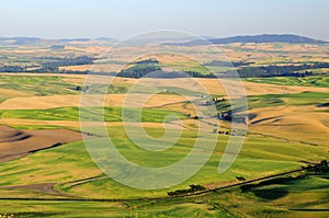 Sunset view of Palouse