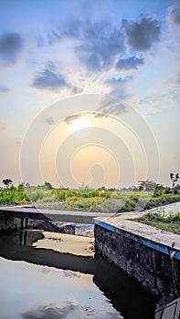 Sunset view in rice fields
