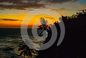 Sunset, view of the sea and palm trees. Apo island, Philippines