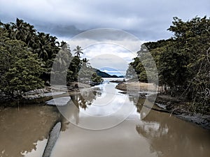 Bellissimo schermo da la giungla fiumi oceani un spiagge tropici 