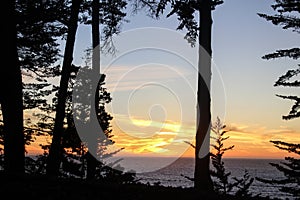 Sunset view through trees over the pacific ocean