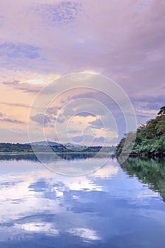 Sunset view of the Victoria Nile river, with trees growing and the reflections on the water, Jinja, Uganda