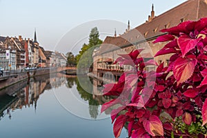 Sunset view of waterfront of a channel passing ancienne douanne building in Strasbourg, France photo