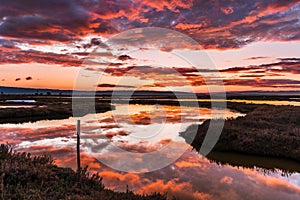 Sunset views of the tidal marshes of Alviso with colorful clouds reflected on the calm water surface, Don Edwards San Francisco