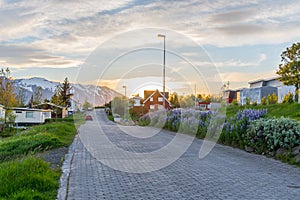 Village of Hrisey in Iceland