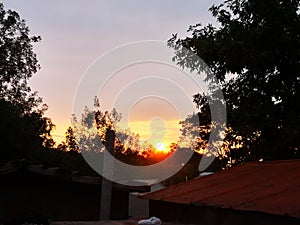 Sunset in the village near black trees