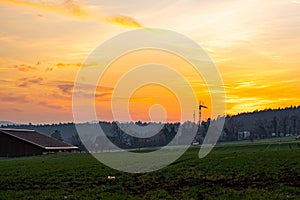 Sunset vire in the yellow sky from the green field. photo