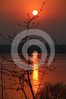 Sunset on the Volga in early spring, the sun on a branch.