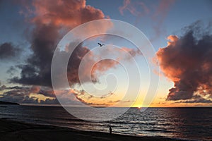 The Sunset Watcher, Redondo Beach, South Bay of Los Angeles County, California