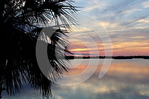 Sunset with water and palm tree photo