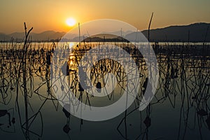 Sunset waterscape of wes lake in hangzhou,china