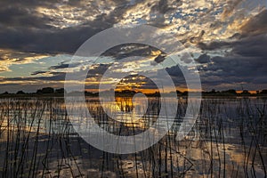 Sunset in the wetlands of the Okavango Delta - Botswana
