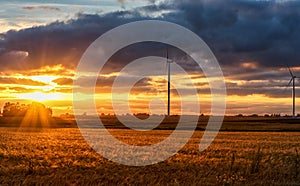 Sunset and Wheat Field with Windmill in Background.