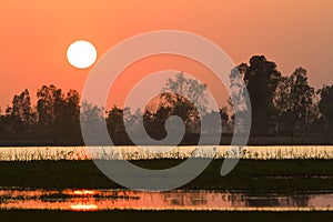 Sunset on a wild nepali swamp, at Bardia, Nepal photo