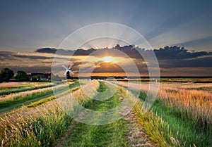 Sunset windmill