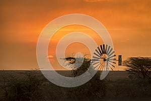 Sunset with a windmill silhouette at the forest edge
