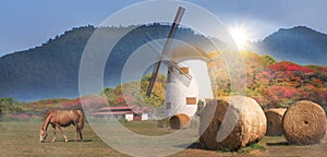 Sunset windmill  sky Windmill farm river sunset view