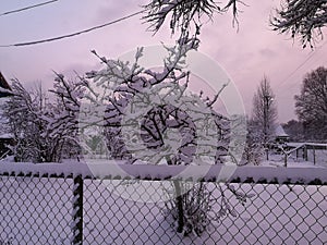 sunset winter day in the village on the edge of the forest