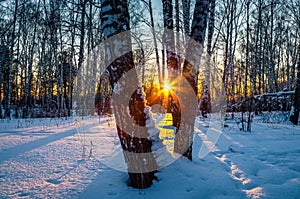 Sunset in winter forest