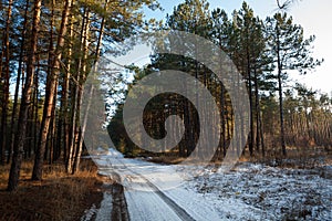 Sunset in winter forest and road