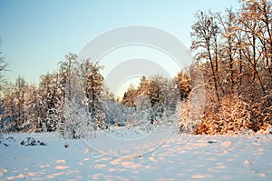 Sunset in winter, Frost on trees.