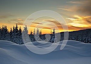 Winter in Jizerske Mountains photo