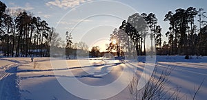 Sunset in winter and long shadows from trees