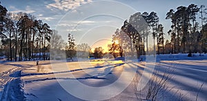 Sunset in winter and long shadows from trees