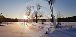 Sunset in winter and long shadows from trees