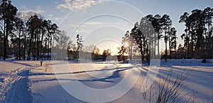 Sunset in winter and long shadows from trees