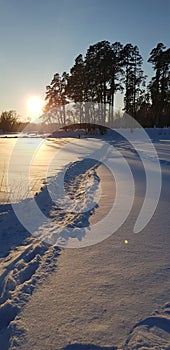 Sunset in winter and long shadows from trees