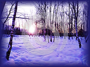 Sunset in winter, postcard, wallpapers