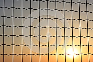 Sunset through a wire mesh