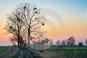 Sunset on Zulawy Wislane in Poland, beautiful landscape