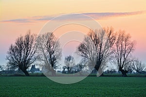 Sunset on Zulawy Wislane in Poland, beautiful landscape