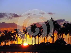 Sunsets through Coconut trees over with light reflecting on lagoon and illuminating the sky orange