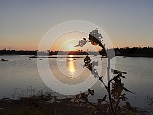 Sunsets in Lake reflection in our village Thanjavur tamilnadu India