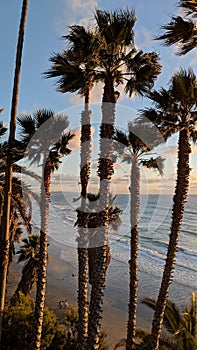 Sunsets and Surfers at Swamis Reef Surf Park Encinitas California.