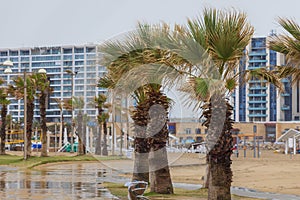 Sunshade on the beach in Herzliya