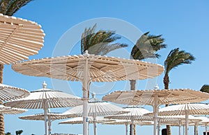 sunshade umbrellas and sunbeds near pool in Jaz Casa Del Mar Resort in Hurghada, Egypt