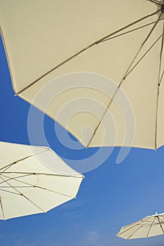 Sunshades photo