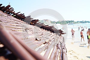 Sunshades on beach